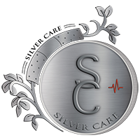 silvercarefranchise.com
